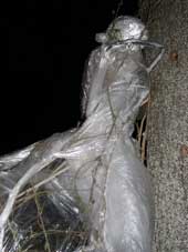 MANufactured = LOVE, detail of figure climbing the tree.